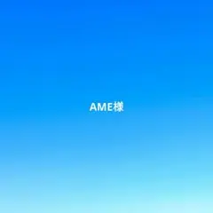 AME様専用
