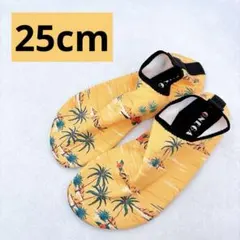 Item thumbnail for item 2c4a1ee9-b59b-41b8-93bb-5b3b779489cf