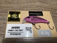 101様 リクエスト 2点 まとめ商品