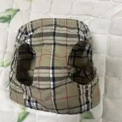 Item thumbnail for item 9c04a8c4-908d-405f-a884-70c480333f04