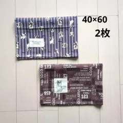 ランチマット　男の子B　40×60　ランチョンマット　大判　犬フレンチブルドッグ