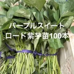 Sekaimen 世界門-日本代購、代標、代運、Yahoo拍賣| 吉川資訊有限公司