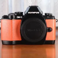 ✨Wi-Fi内蔵✨OLYMPUS OM-D E-M10 超望遠レンズセット✨ - メルカリ