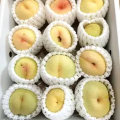 今季最終間近！注文順収穫発送！自然肥料のみ！こだわりの清水白桃
