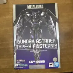 K*N様 メタルビルド ガンダムアストレア TYPE-X フィンスターニス