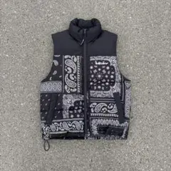 ベンデイビス　ダウンベスト