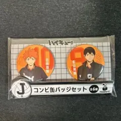 ハイキュー!! 一番くじ缶バッジセット