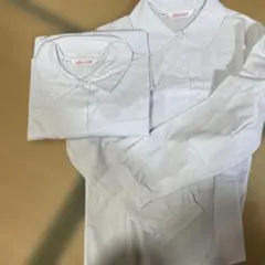 Item thumbnail for item a7025b86-cdfa-4315-9e61-690b0fd14ec1