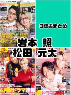 ザテレビジョン TVガイド TVfan 4月号 岩本照 松田元太 雑誌 切り抜き