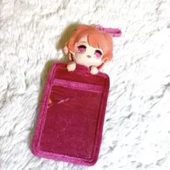 カラフルピーチ　のあ　パスケース クレーンゲーム からぴち ぬいぐるみ