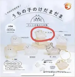 うちの子のけだまだま プードル