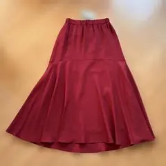 新品・未使用 Anna Kerry アンナケリーフレアロングスカート Mのサムネイル