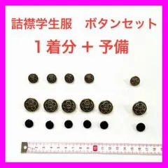 【新品】詰襟学生服　上着ボタン　１セット（大５・小４・裏５個）+予備