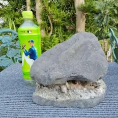 쿠즈야