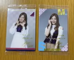 Item thumbnail for item 44d75d10-e11e-4ebc-ad9b-c5f728913bdb