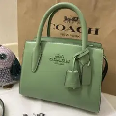 とても綺麗♡COACH♡アンドレア♡キャリーオール/バック　正規品