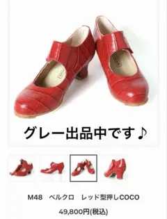 2026年最新】ベゴーニャの人気アイテム - メルカリ