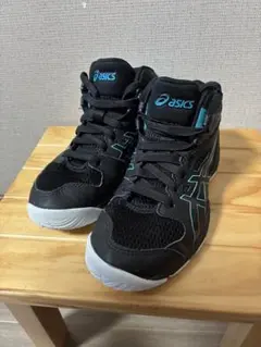 ☆美品⭐︎【ASICS】アシックス ダンクショット　バスケットシューズ　21.5