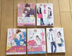 野いちご文庫　５冊