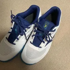 テニスシューズ シューズ