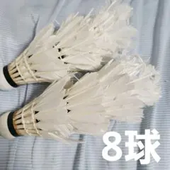 バドミントン 中古シャトル 使用済 シャトルのサムネイル