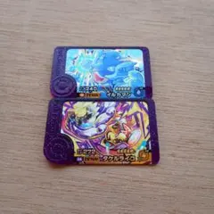 ポケモンフレンダ　タケルライコ　イルカマン　スーパートレジャー　2個セット