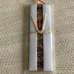 Item thumbnail for item 223211e4-f0a5-406f-bb9c-7ab1ef4a9540