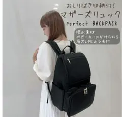 最終価格　selva secreta　パーフェクトバックパックのサムネイル