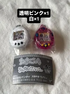 たまごっち シャカシャカチャーム カプセルトイ 2個セット ガチャガチャ