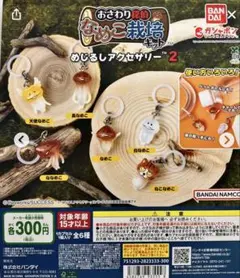 おさわり探偵　なめこ栽培キット　めじるしアクセサリー2 長なめこ