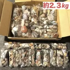 宝石探し　トレジャー　ストーン　大量　天然石　鉱石　原石　宝石　自由研究　裸石