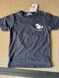 Item thumbnail for item 86f36f60-0242-4bac-ad36-bd7894ae2b2c