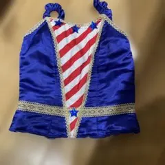 バレエ衣装 サテンストライプ