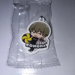 ハイキュー!! くら寿司 ビッくらポン めじるしチャーム 木葉秋紀