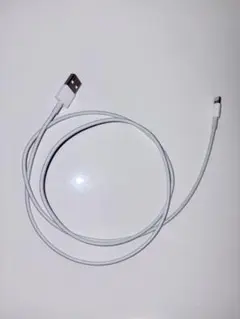 Apple Lightning - USB 케이블 케이블 전용 순정