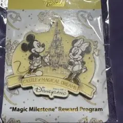【香港ディズニーランド 】Castle Magical Dreams ピンバッジ