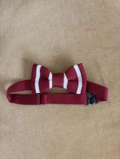 赤と白のストライプ蝶ネクタイ