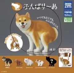 ふんばり〜ぬ ガチャ フィギュア 柴犬