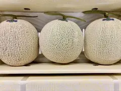 大玉メロン高知　夜須町エメラルドメロン3玉入6キロ（箱込み）のサムネイル