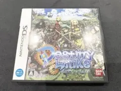 【レア】『デスティニーリンクス』DS
