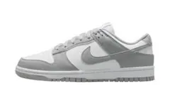 23 Nike Women's Dunk Low Next Nature 