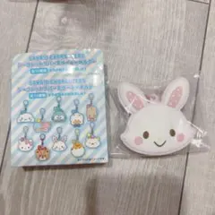 ウィッシュミーメル シークレットラバーミラーキーホルダー