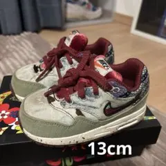 Air Max 1 SP (TD) CONCEPTS 13cm
