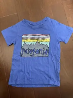 Patagonia 3T Tシャツ