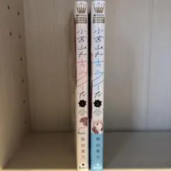 Item thumbnail for item 4ed21b58-1ae6-49c1-b552-0e325de33e73