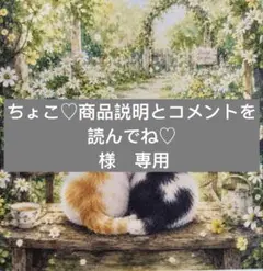 ちょこ♡商品説明とコメントを読んでね♡様　専用