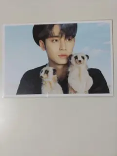 ディフェスタ　ミンギュ