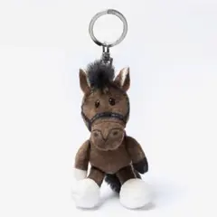 ディープインパクト　NICI ニキ 競馬 JRA ダービーフレンズ 有馬記念のサムネイル