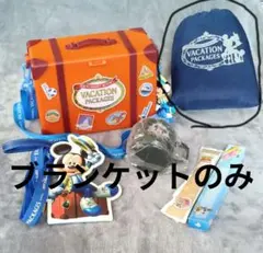 ディズニー　バケーション　ブランケット