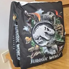 ジュラシック・ワールド 復活の大地 プラチナムザッカ図鑑クッション